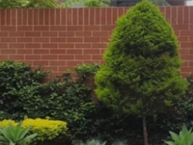 Cuidado jardinería Guatemala