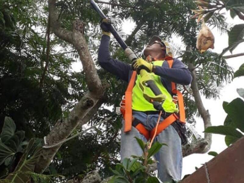 Cuidado rústico Guatemala