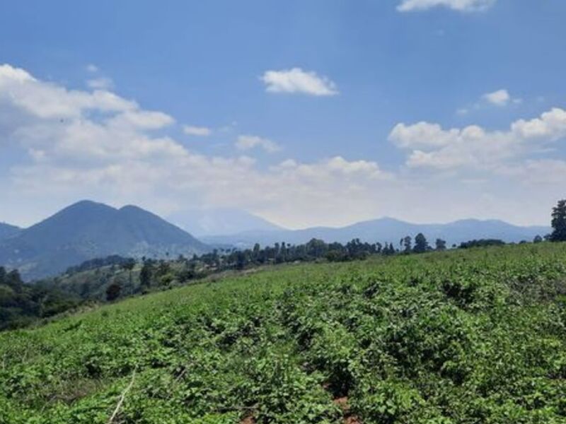 Terreno Sumpango KM 46.5