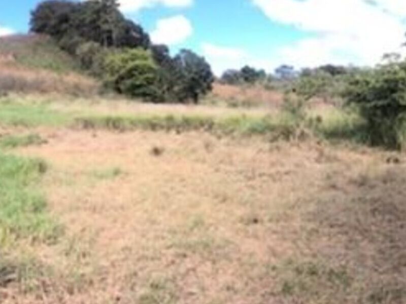 Terreno Zona 25