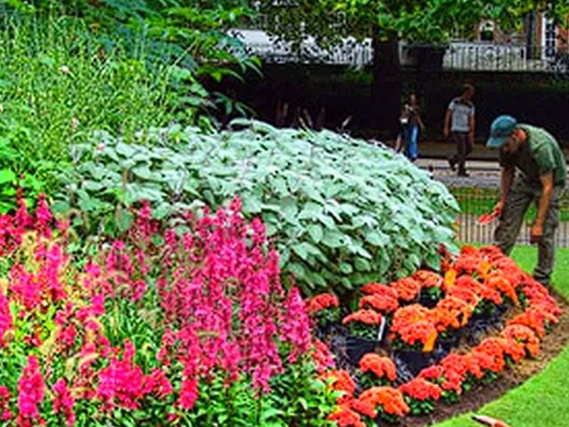 Servicio jardinería Guatemala