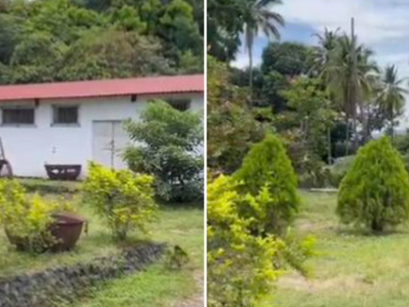 Venta de Granja