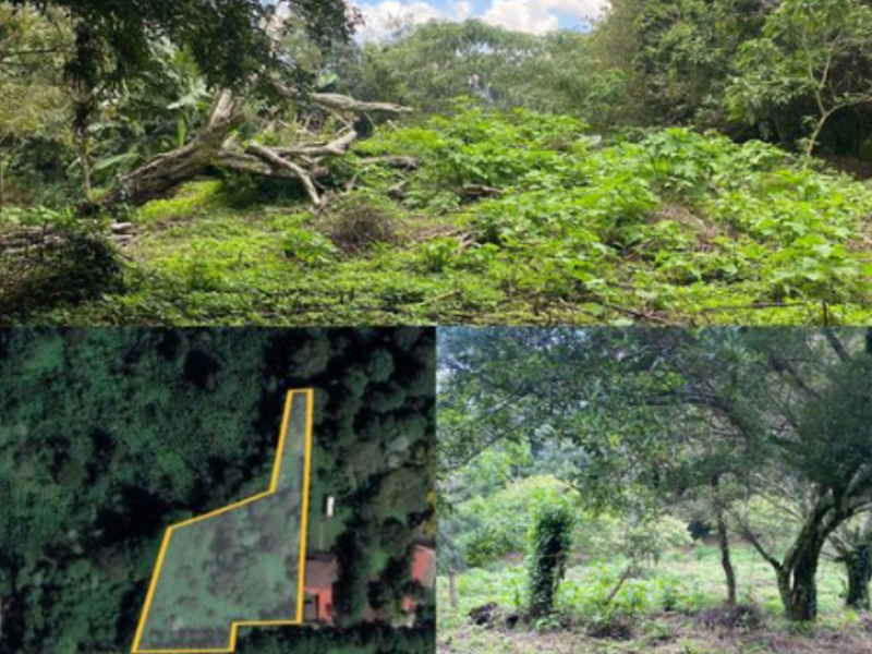 Terreno Granja Paraíso