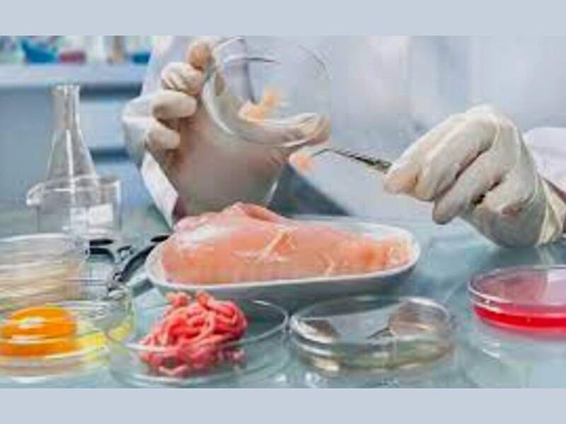 Análisis Microbiológicos  Fisicoquímicos: