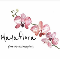 Mayaflora S.A.