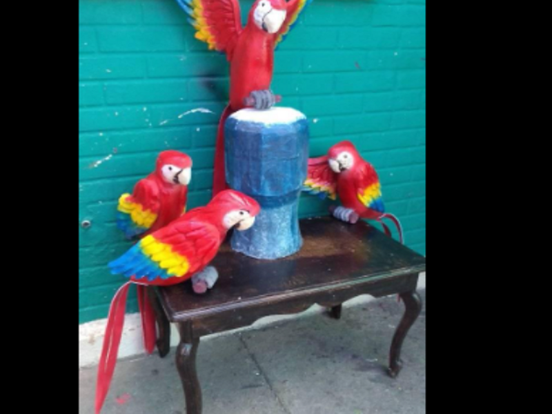 Decoración loros