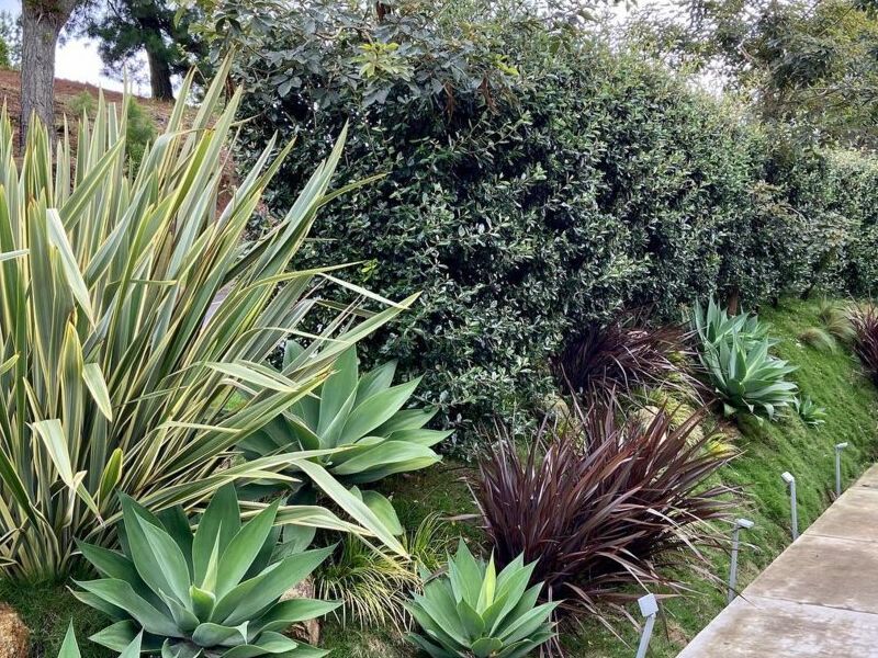 Instalación Jardines