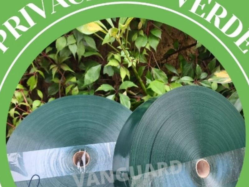 Privacinta verde Guatemala 