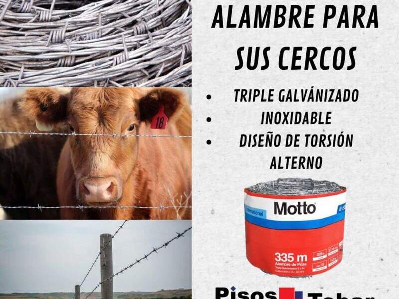 Alambre de púas MOTTO Izabal