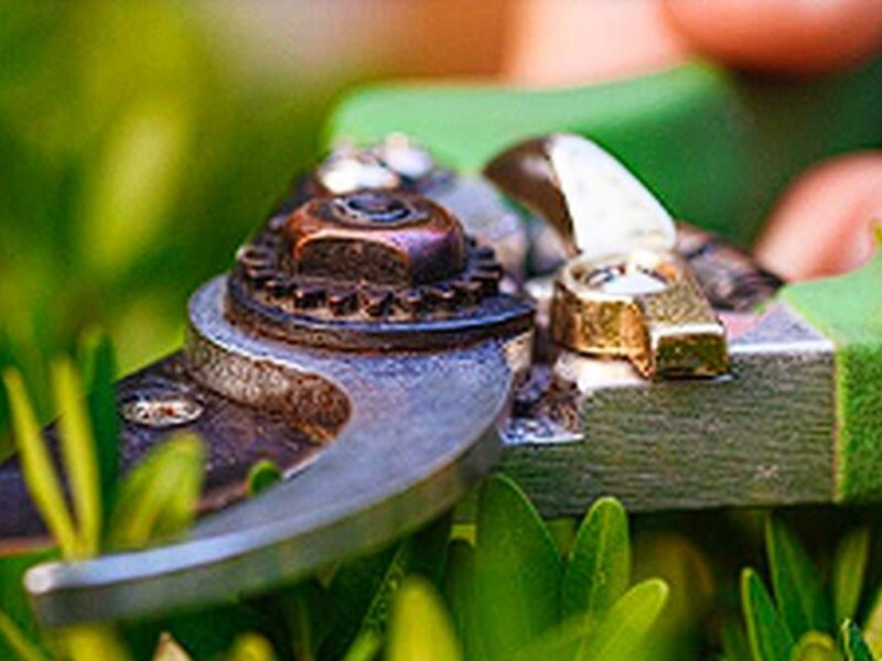 Podado jardines Guatemala