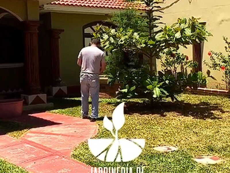 Recuperación césped Guatemala