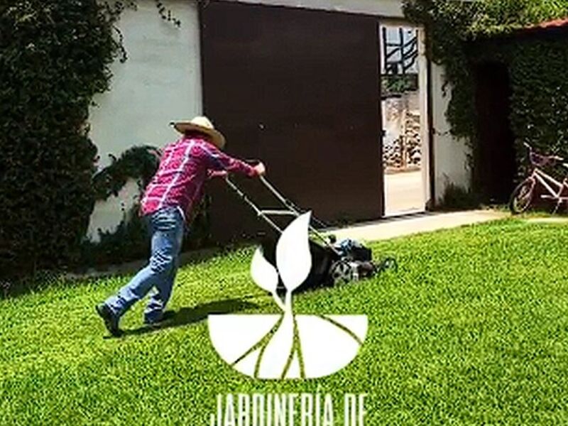 Jardineria Guatemala