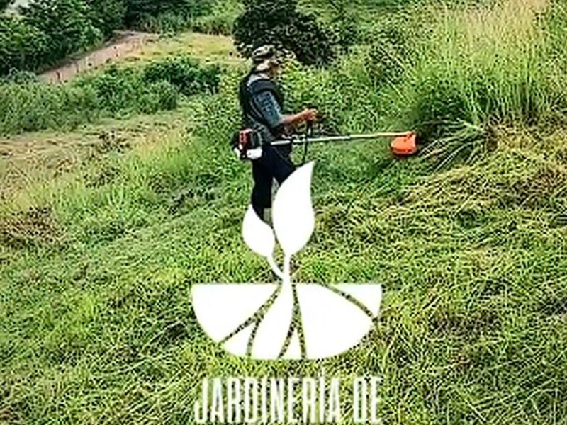 Deshierbe jardines Guatemala
