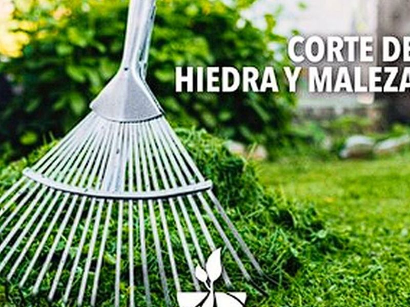 Corte hiedra maleza Guatemala
