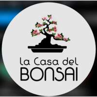 La casa del bonsai