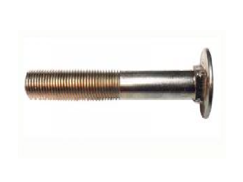 Tornillo redonda metal Santa Catarina 