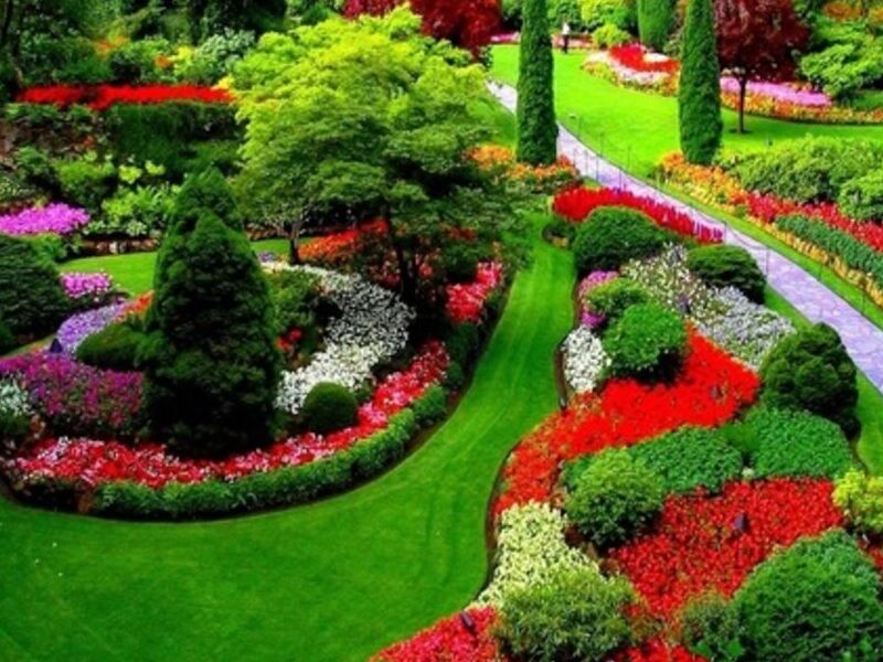Paisajismo Guatemala