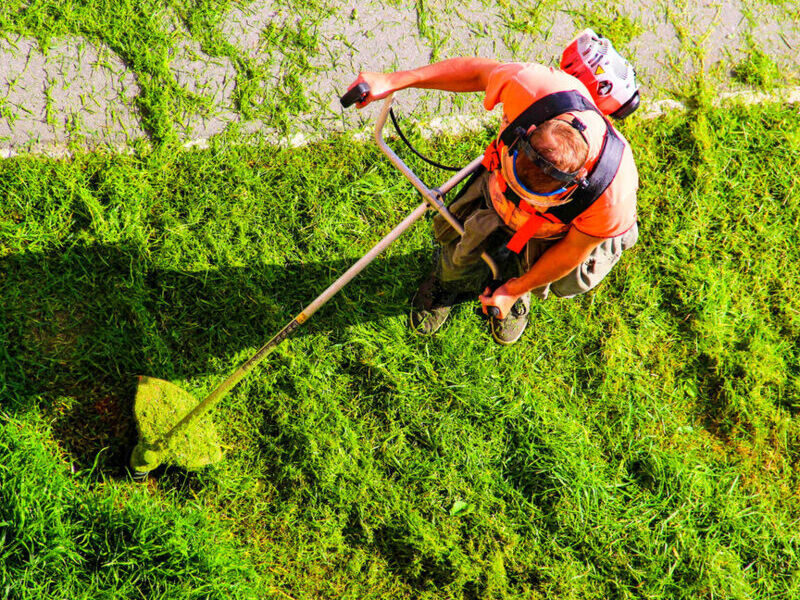 Mantenimiento de Áreas Verdes Guatemala