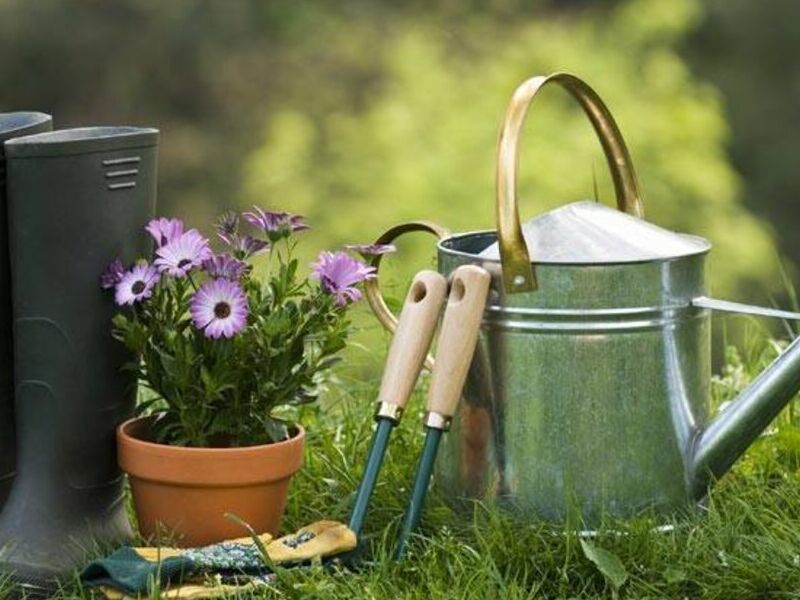 Servicio de Jardinería Guatemala