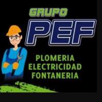 Grupo PEF