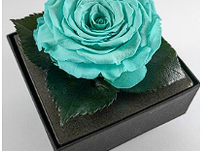 ROSAS PRESERVADAS GUATEMALA