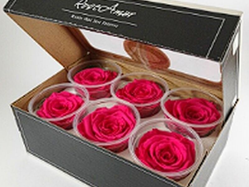 CAJA 6 ROSAS GUATEMALA