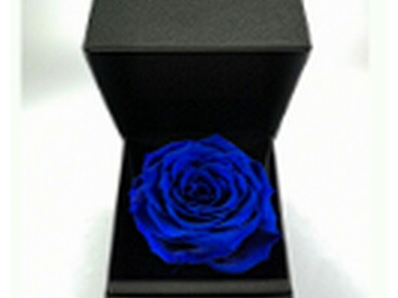 ROSAS CAJA NEGRA GUATEMALA