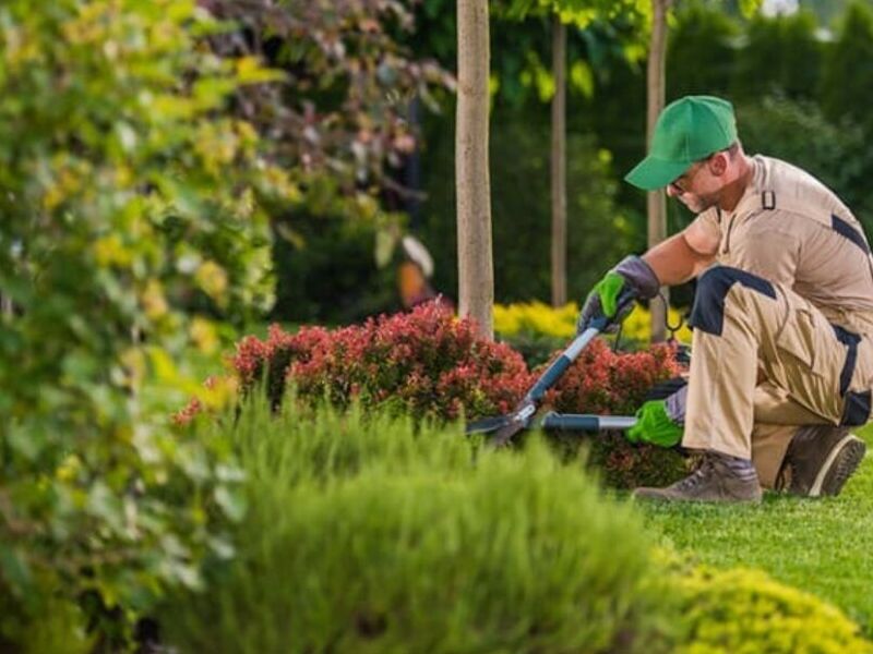 Trabajos jardinería Guatemala