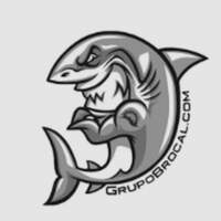 Grupo Broncal