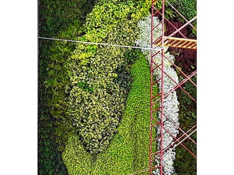 JARDIN VERTICAL GUATEMALA