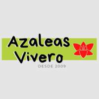Azaleas Vivero