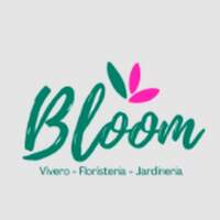 Plantas Bloom