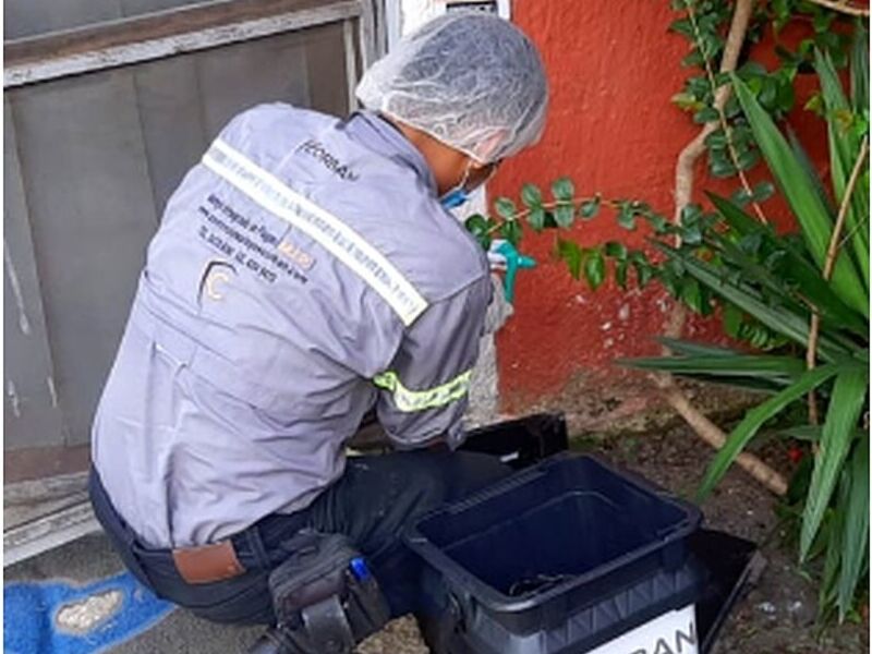 Fumigación Áreas externas Guatemala