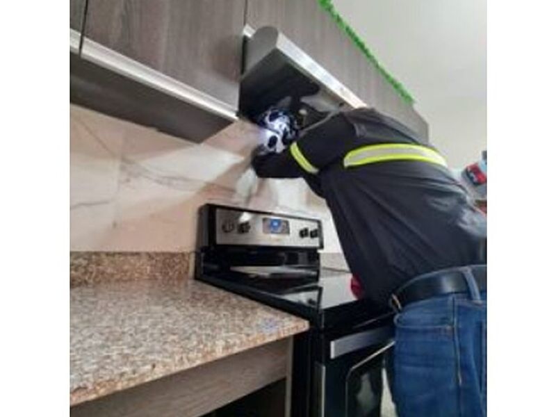 Fumigación Roedores Guatemala