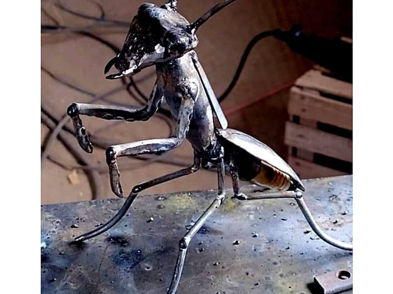 OBRA MANTIS GUATEMALA