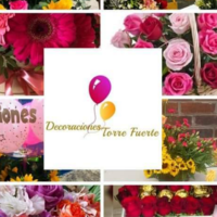 Decoraciones Torre Fuerte