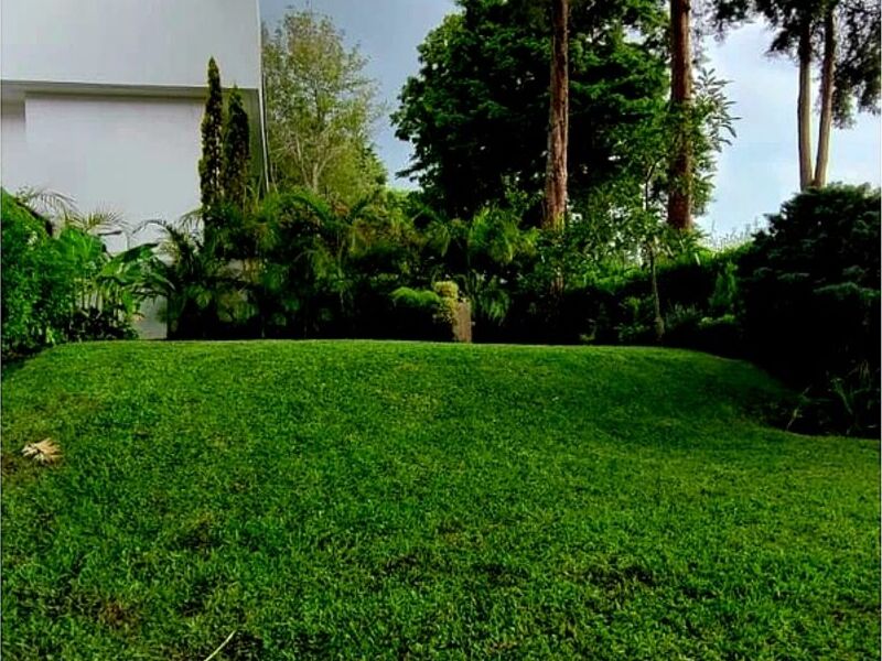 Mantenimiento jardines A Guatemala