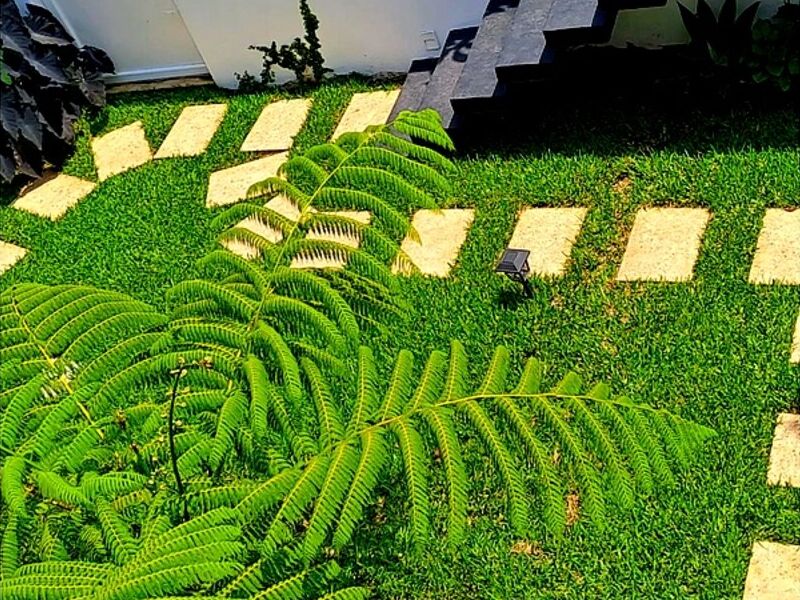 Mantenimiento jardines B Guatemala