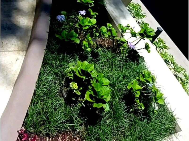 Mantenimiento jardines D Guatemala