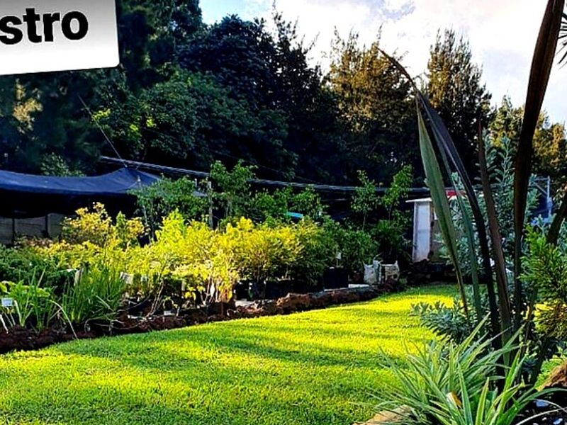 Mantenimiento jardines F Guatemala