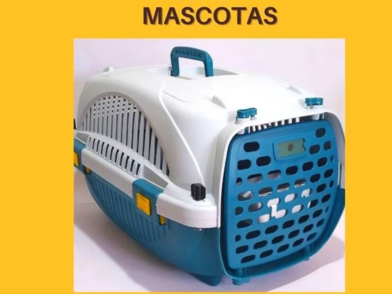 CASA TRANSPORTADORA PERRO AZUL GUATEMALA