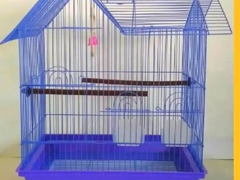 JAULA PARA AVEZ AZUL