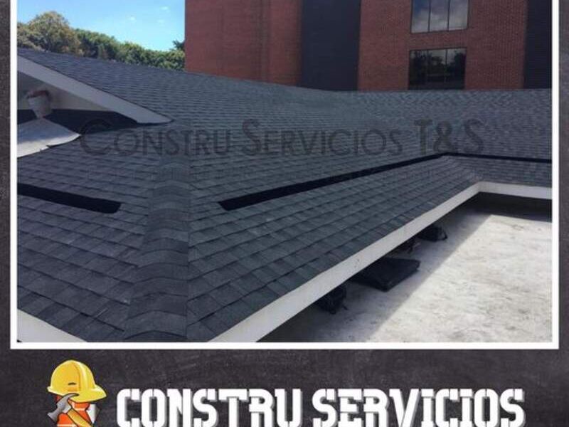 Shingle negro