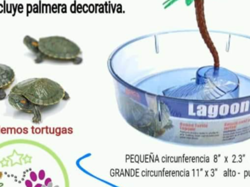 Casa Tortugas Guatemala