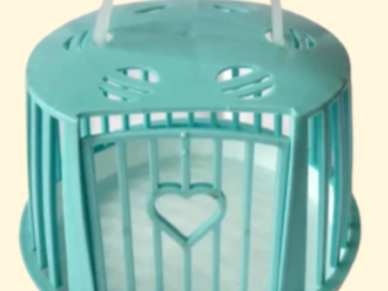 CASA HAMSTER Guatemala