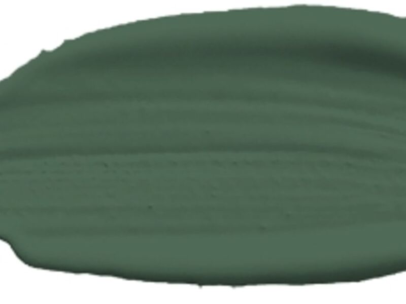 KALE GREEN GUATEMALA