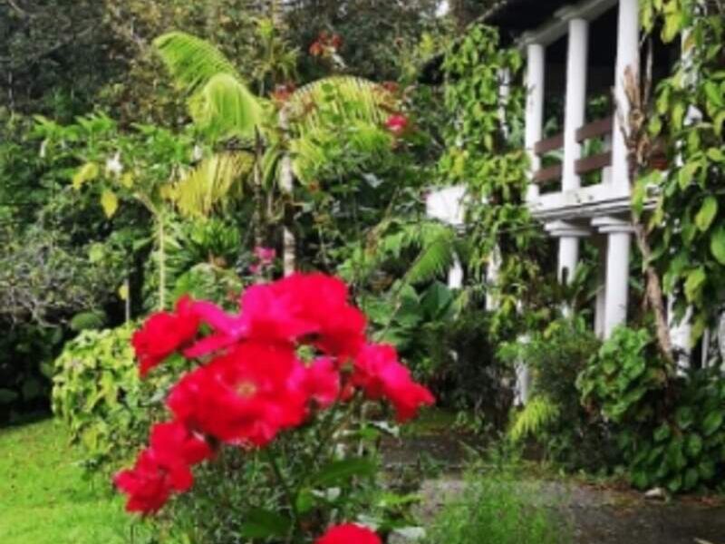 Mantenimiento jardín rosas Guatemala