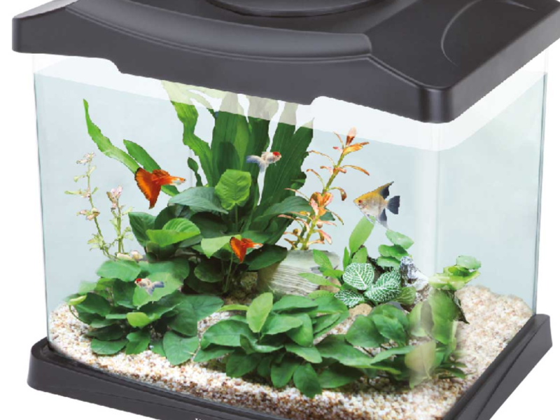 Acuario BOYU DSN315 Guatemala