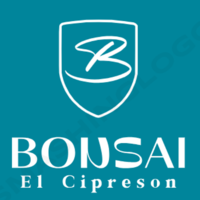Bonsai El Cipreson