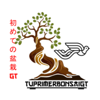 Tu Primer Bonsai GT